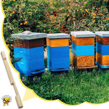 Reductor de intrare în stup Txmfgh - Controlul ventilației din lemn și pentru