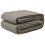 Berkfield Tent Carpet Folding Manual Light Grey 200 x 250 cm Polyethylene 2