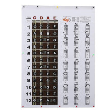 Mandolin Chord Chart Poster HD Color Print Mandolin Fretboard Notes Reference for Beginners