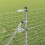 Berkfield Fence Post 13 pcs Silver Steel 3