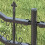 Berkfield Garden Fence KAMPEN Grey 3