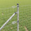 Berkfield Fence Post 13 pcs Silver Steel 4
