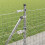 Berkfield Fence Post 7 pcs Silver Steel 4