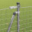 Berkfield Fence Post 7 pcs Silver Steel 4