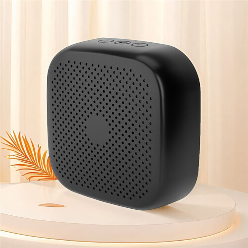 Portable Speaker  5.0 Wireless Connection  Charging Work Voice  Supports Card Insertion 1