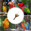 Birdcage Hanging Chew Toy Bird Interaction Engagement Fun 2