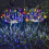 Solar Garden Lights 120 LED 2 Pack Waterproof 1
