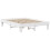 Berkfield Bed Frame without Mattress White 160x200 cm Solid Wood Pine 3