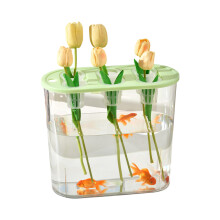Clear Gardening Box for Tulips Water Culture and-Green 1
