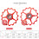 Roulements de galet de dérailleur arrière VTT (lot de 2) 3