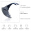 Tinted Protective Face Shield Glasses C3 Grey, AntiGlare FullFace Safety Shield for Work 2