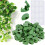 Leaf Shaped Plant Wall Clips 60PCS Vine Support Set with Adhesive Waterproof Tool Design 1