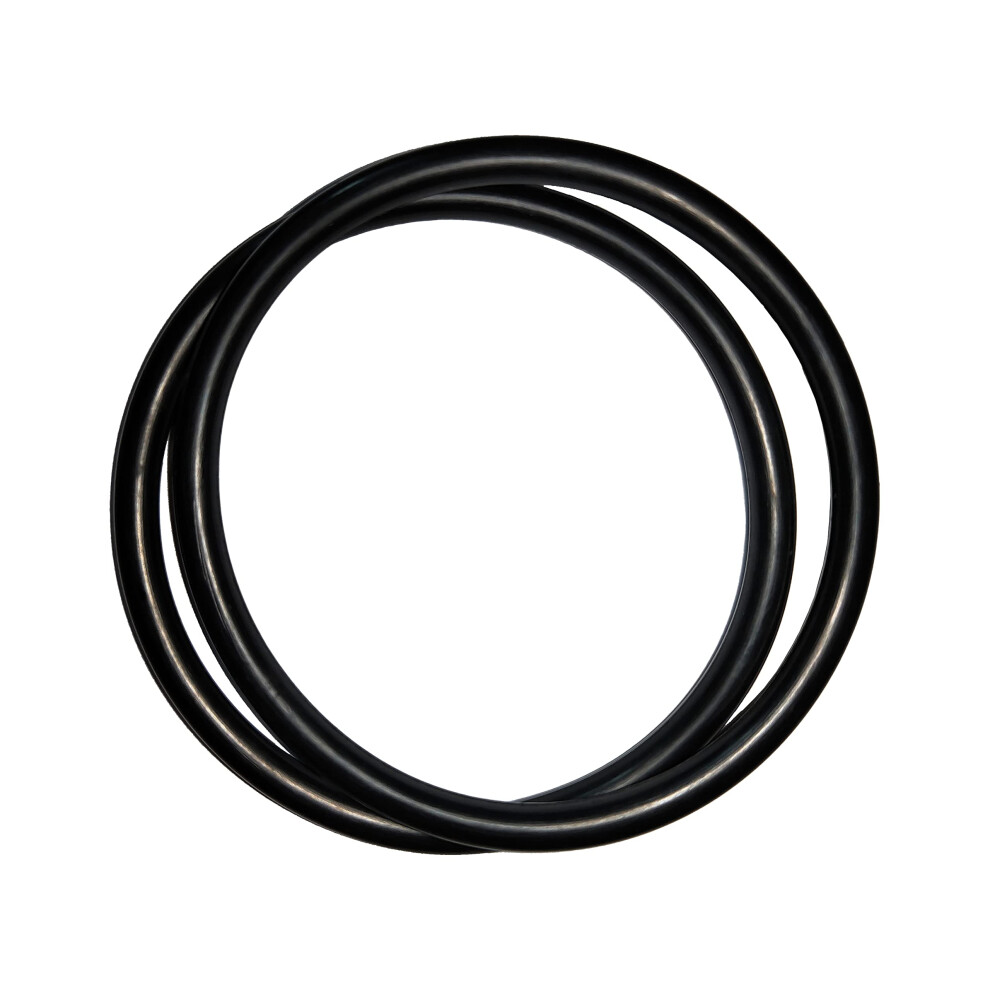 Oring R172009 O283 For Pentair Chlorinator Rainbow 300 320 Leakproof Replacement 2 Pack 9330225539445