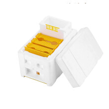 Queen Bee Mating Nuc Box Polystyrene Mini Beehive for Queen Rearing and Beekeeping