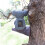 Solar-Powered Bear and Koala Book Sculpture with LED Lights 5