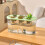 Easyly Clean Hydroponic Planter Box for Home Gardening-White 1 7