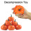 Zucca artificiale Donemore, decorazione autunnale, 10 pezzi 4