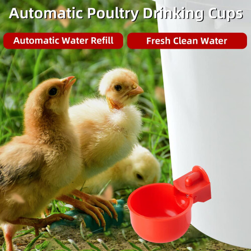 Automatic Chicken Waterer Cups 4 Pack, 3/8 Inch Thread, Easy Refill Poultry Drinking System for Chickens Ducks Turkeys 2