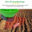 Handheld Electric Seeder with 7Speed Precision Control, 140 Wide Coverage, 3L Large Capacity Hopper, TypeC Fast Charging 3