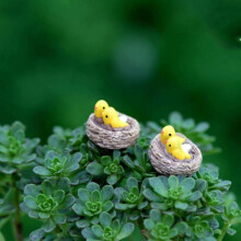 2 Pack Miniatuur Vogel Nest Beeldjes - Hars Vogels met Nest voor Feeën Tuin, Poppenhuis, Terrariums