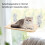 Ασύρματη αιώρα για γάτες, βεντούζες με συμπαγές πλαίσιο, πτυσσόμενη ξαπλώστρα 6