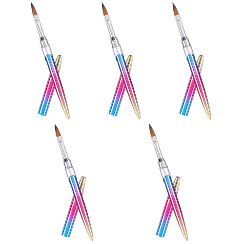 5Pièces Pinceaux Nail Art Multicolores Maniure Pour Usage Pro 1