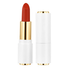 Matte Lipstick Long Lasting Non Transfer Velvet Finish Non Fading Color Cup Stain Resistant White Tube