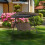 Tenda parasole da esterno per giardino e patio 4