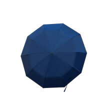 Automatic Windproof Travel Umbrella for Men, Large 10 Ribs Auto Open Close with Wooden Handle and UV Protection