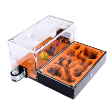 Clear Ant Farm 11.5cm Transparent Ant House Villa for Study and Observation of Ant Behavior