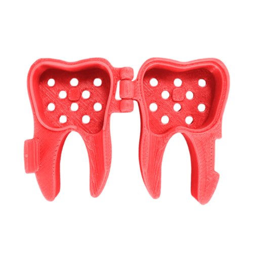 Electric Toothbrush Head Protective Cover for Brush-Red