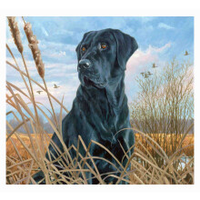Labrador Dog Diamond Painting Kit Full Drill DIY Crystal Art for Wall Decor and Family Craft