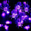 Spider Halloween String Lights 20-LED Battery Operated 4