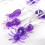 Spider Halloween String Lights 20-LED Battery Operated 5