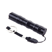 Wsevypo Mini LED-lommelygte batteridrevet håndholdt penlampe lomme
