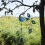 Federra metal chime ornament painted bell pendant 2
