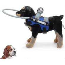 (M, blue) Blind Dog Harness Guiding Device,blind Dog Halo,pet Anti-collision Ring To Protect Cats And Dogs With Blindness, Blurred Vision