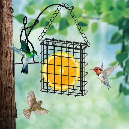 Xhegex suet bird feeder black iron cage 1 pack