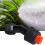 iZZZHH Sprayer Nozzle Tips Hollow Adjustable 6 Types 1