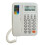 Plastic Desktop Landlines Telephone With Clear Caller IDs Screen 1