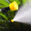 Sprayer Nozzle Tips Hollow Adjustable 6 Types 2