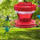 Hooks Celebration Activ Kolibrifoderautomat Sugekop Plastik Fugle Veranda 4
