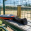 Ball Retrievers Pickup Device Tennisbal-Wit A05 5
