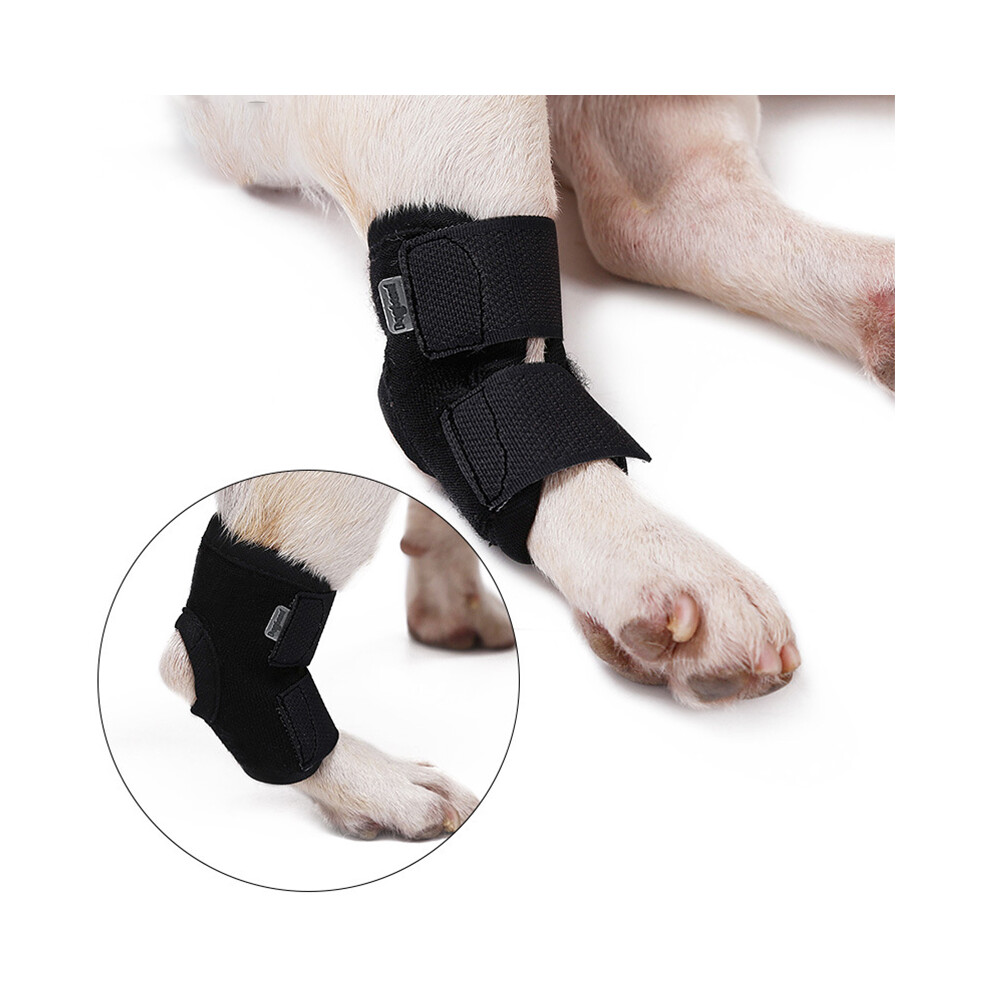 Inf Black Dog Short Support Brace - S