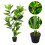 Living And Home 120cm Artificial Faux Ficus Elastica Tree in Pot 4