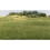 All Game Terrain 6572 4 mm Medium Green Static Grass Wargaming Miniature Base + 2