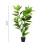 Living And Home 120cm Artificial Faux Ficus Elastica Tree in Pot 6