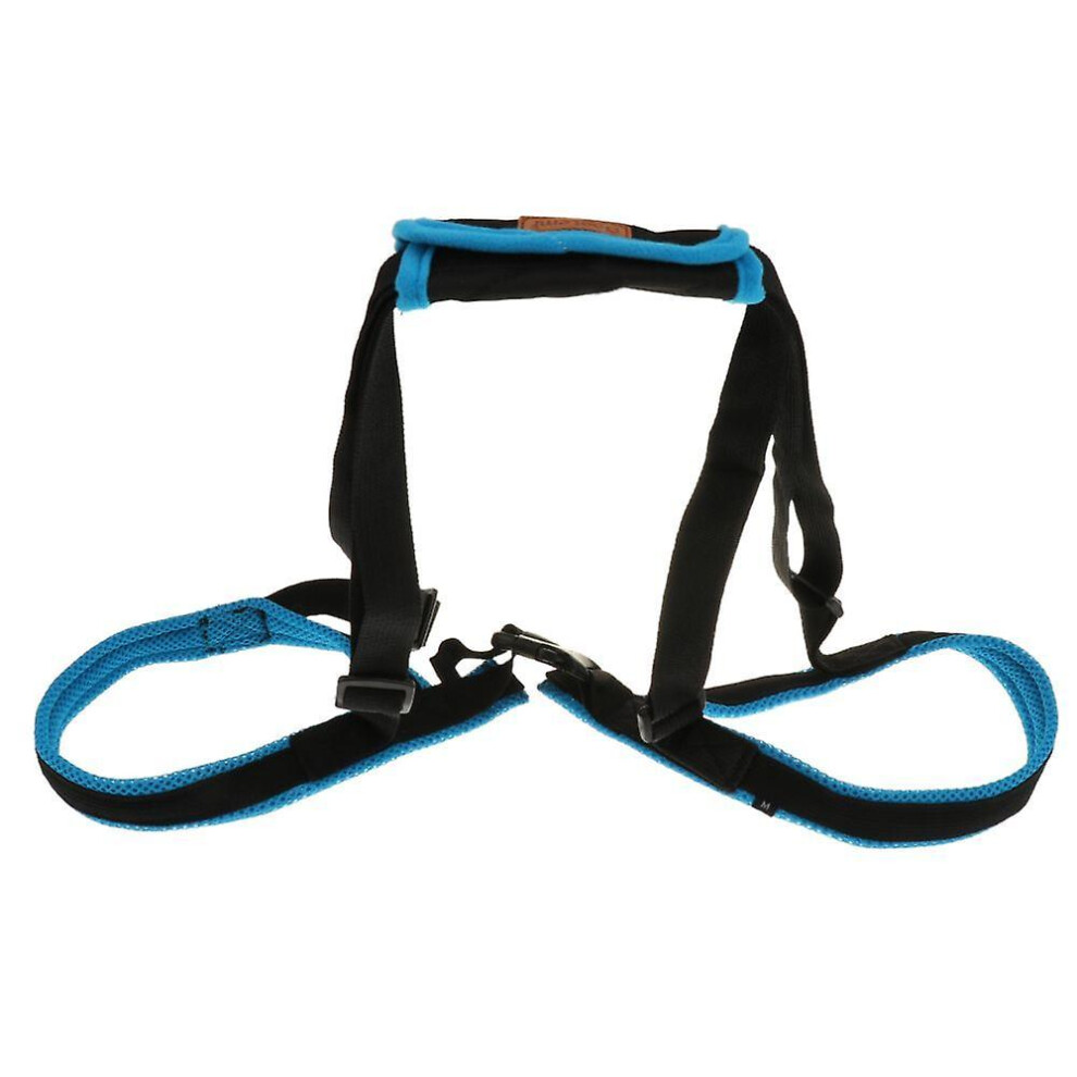 Mobility Harness