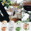 Automatic Bird Feeding Bowl Anti-Scatter Anti-Splash 3