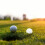 Golf Ball Position Markers Flat 10 Pcs 2